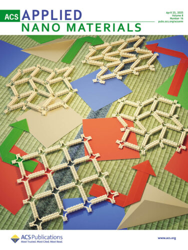 ACS Applied Nano Materials 三重大学 カバーピクチャー 科学イラスト 論文表紙絵 アートアクション cover picture