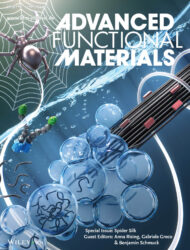 Advanced Functional Materials カバーピクチャー 科学イラスト 論文表紙絵 アートアクション cover picture