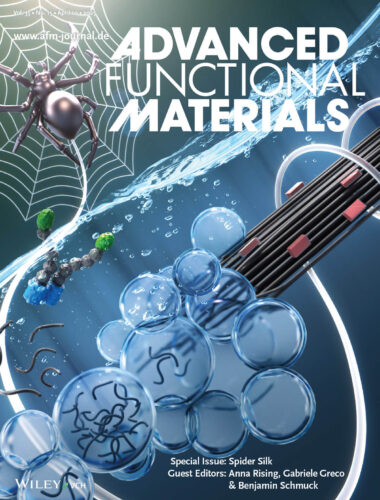 カバーピクチャー 科学イラスト 論文表紙絵 アートアクション cover picture