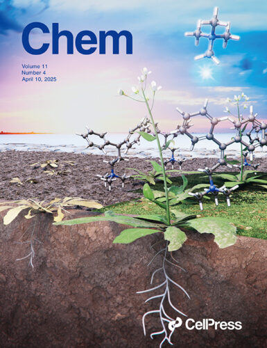 Cell Press 関西学院大学 カバーピクチャー 科学イラスト 論文表紙絵 アートアクション cover picture