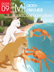 Wiley Macromolecular Rapid Communications 京都大学 生存圏研究所 カバーピクチャー 科学イラスト 論文表紙絵 アートアクション cover picture