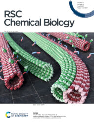 RSC Chemical Biology カバーピクチャー 科学イラスト 論文表紙絵 アートアクション cover picture
