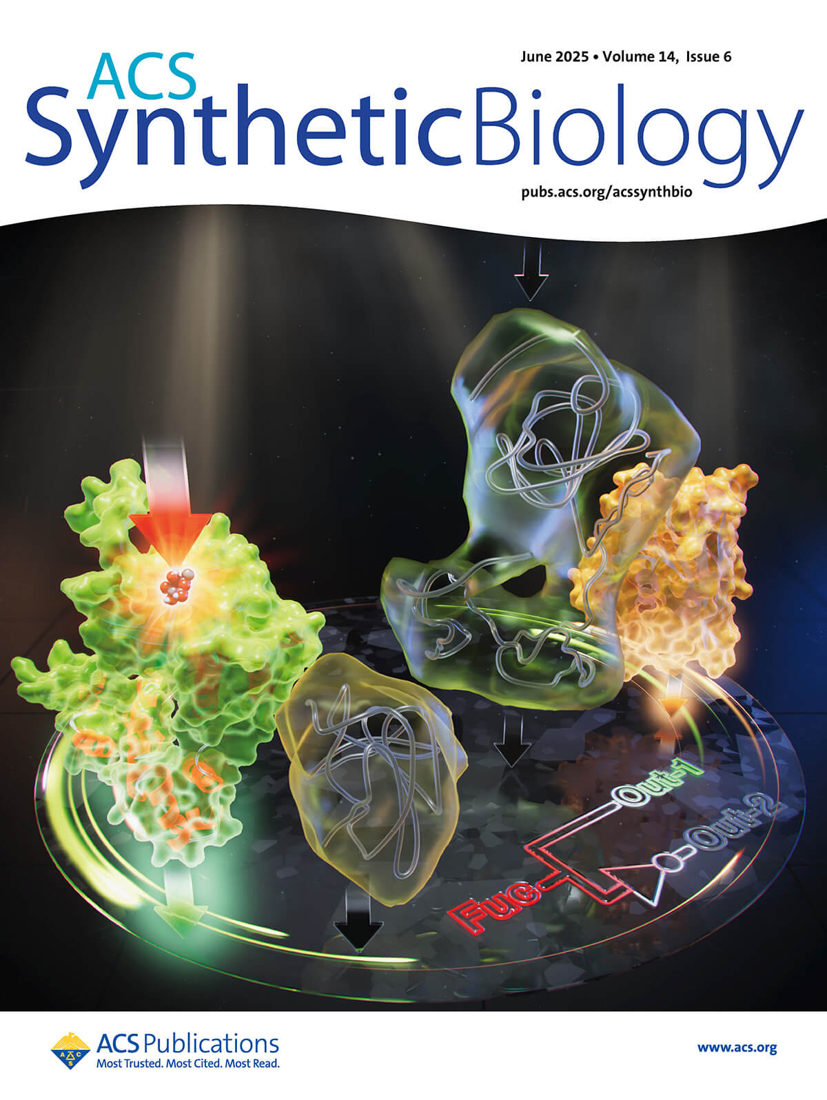 ACS Synthetic Biology 早稲田大学 カバーピクチャー 科学イラスト 論文表紙絵 アートアクション cover picture
