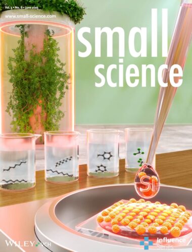 Small Science 広島大学 カバーピクチャー 科学イラスト 論文表紙絵 アートアクション cover picture