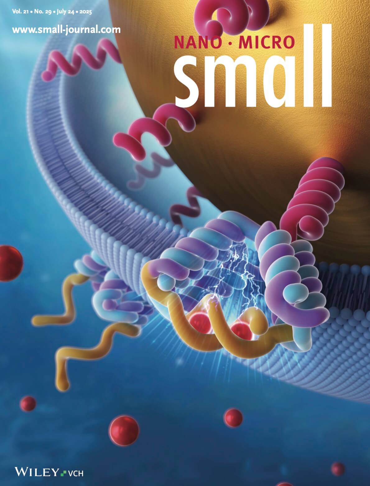 長岡技術科学大学 Wiley Small カバーピクチャー 科学イラスト 論文表紙絵 アートアクション cover picture