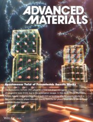 理化学研究所 Advanced Materials Wiley 科学イラスト 論文表紙絵 アートアクション cover picture