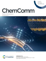 Chemical Communications 神奈川大学 科学イラスト 論文表紙絵 アートアクション cover picture