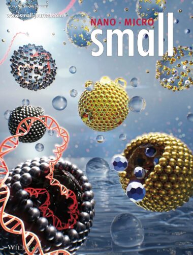 北海道大学 カバーピクチャー 科学イラスト 論文表紙絵 アートアクション cover picture