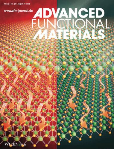 東京大学 Advanced Functional Materials Wiley カバーピクチャー 科学イラスト 論文表紙絵 アートアクション
