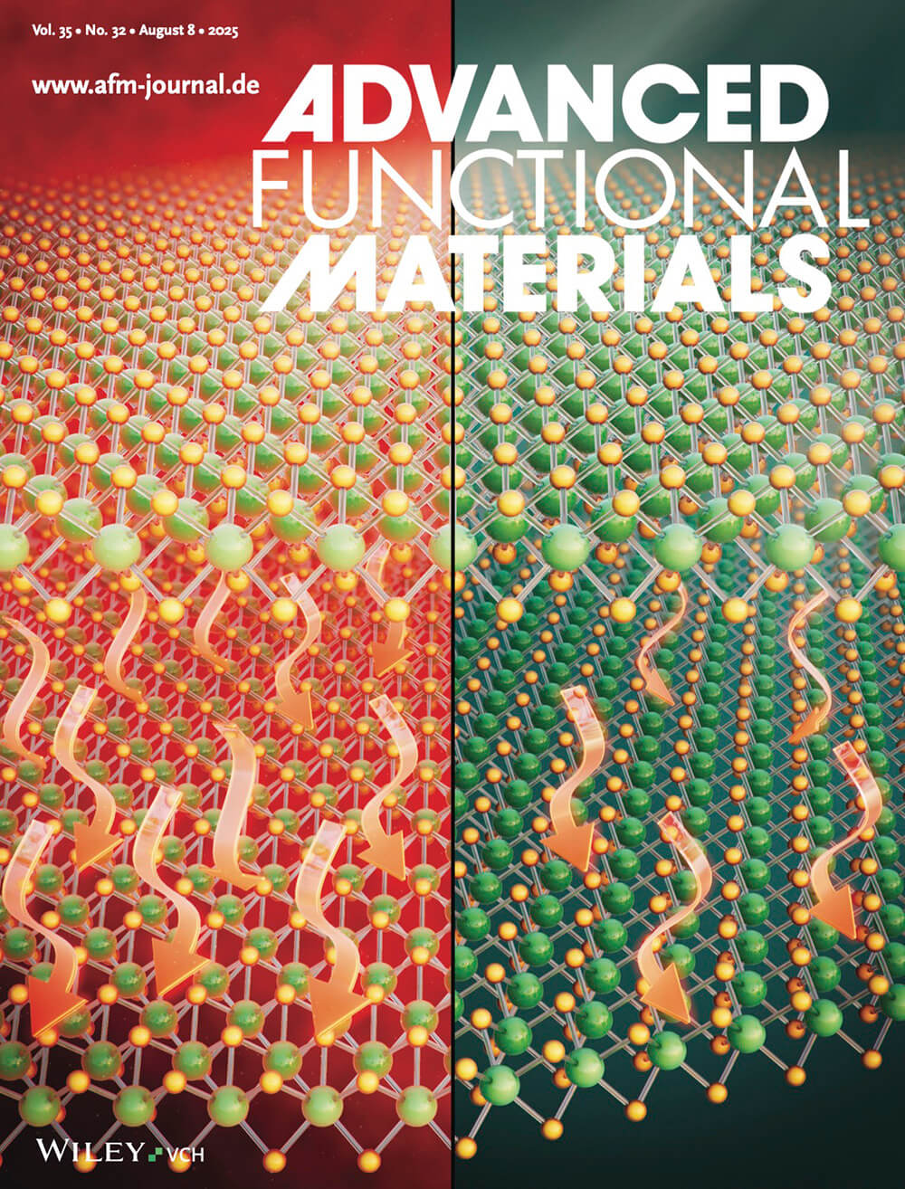 東京大学 Advanced Functional Materials Wiley カバーピクチャー 科学イラスト 論文表紙絵 アートアクション
