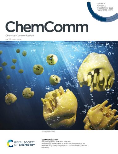 茨城大学 Chemical Communications カバーピクチャー 科学イラスト 論文表紙絵 アートアクション cover picture