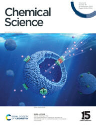 信州大学 Chemical Science RSC 科学イラスト 論文表紙絵 アートアクション cover picture