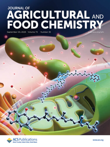 Journal of Agricultural and Food Chemistry 北海道大学 何欣蓉先生 科学イラスト 論文表紙絵 アートアクション cover picture