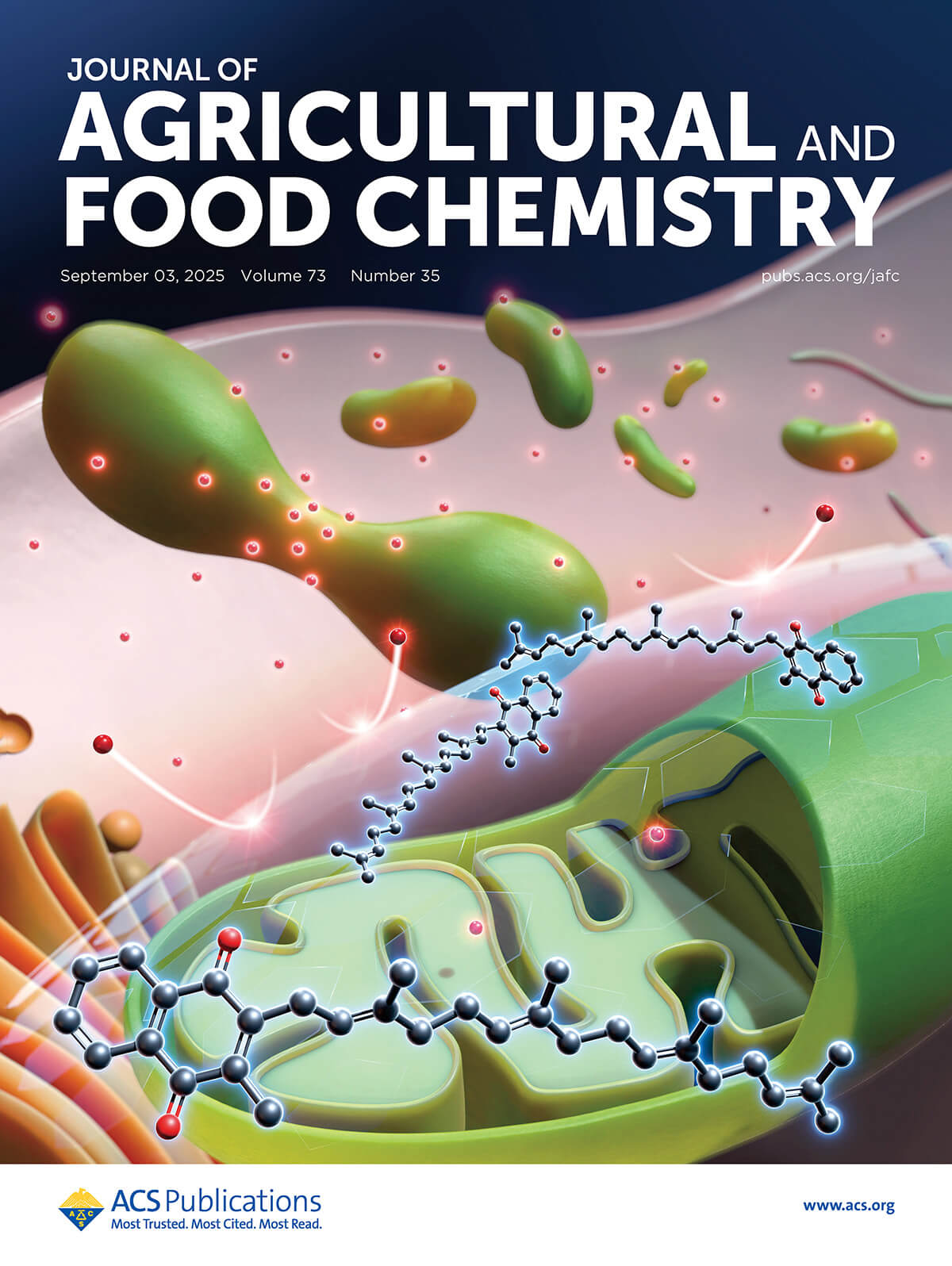 Journal of Agricultural and Food Chemistry 北海道大学 何欣蓉先生 科学イラスト 論文表紙絵 アートアクション cover picture