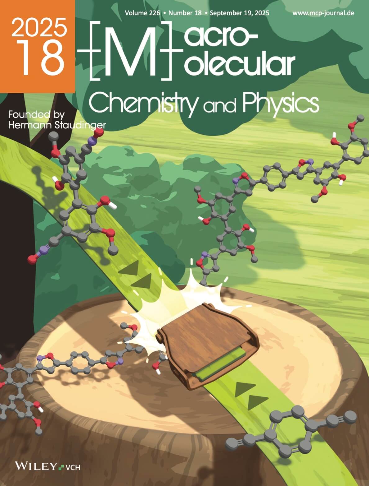 関西大学 Macromolecular Chemistry and Physics カバーピクチャー 科学イラスト 論文表紙絵 アートアクション cover picture