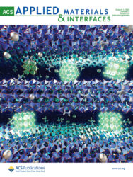 山梨大学 ACS カバーピクチャー 科学イラスト 論文表紙絵 アートアクション cover picture