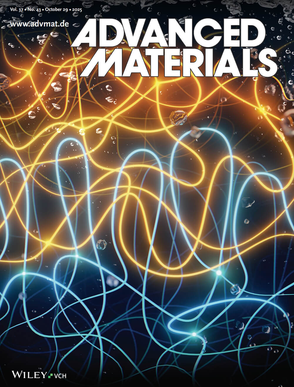 信州大学 Wiley Advanced Materials 科学イラスト 論文表紙絵 アートアクション cover picture