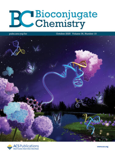 国立医薬品食品衛生研究所 Bioconjugate Chemistry ACS 科学イラスト 論文表紙絵 アートアクション cover picture