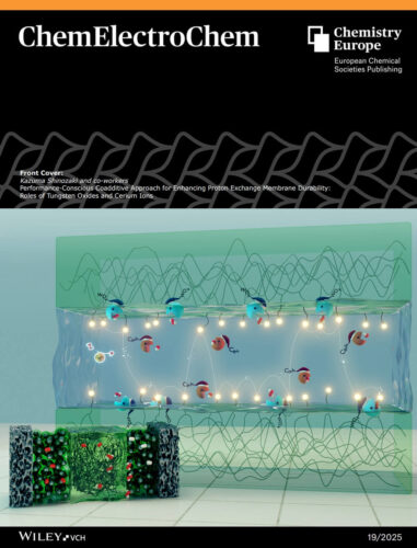 豊田中央研究所 Wiley ChemElectroChem 科学イラスト 論文表紙絵 アートアクション cover picture