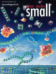 東京農工大学 Small Wiley 科学イラスト 論文表紙絵 アートアクション cover picture