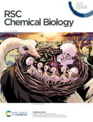 国立医薬品食品衛生研究所 RSC Chemical Biology 科学イラスト 論文表紙絵 アートアクション cover picture