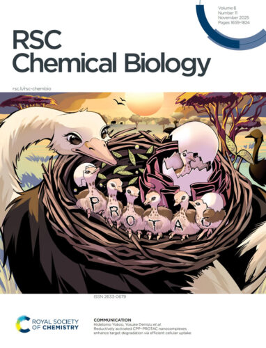 国立医薬品食品衛生研究所 RSC Chemical Biology 科学イラスト 論文表紙絵 アートアクション cover picture