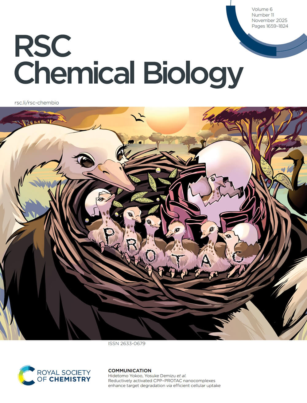 国立医薬品食品衛生研究所 RSC Chemical Biology 科学イラスト 論文表紙絵 アートアクション cover picture