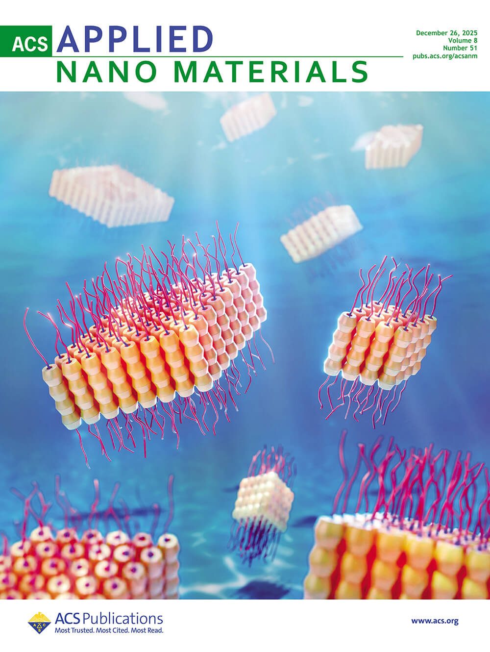 ACS Applied Nano Materials 物質・材料研究機構 カバーピクチャー 科学イラスト 論文表紙絵 アートアクション cover picture