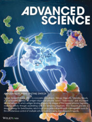 東京科学大学 Advanced Science Wiley カバーピクチャー 科学イラスト 論文表紙絵 アートアクション