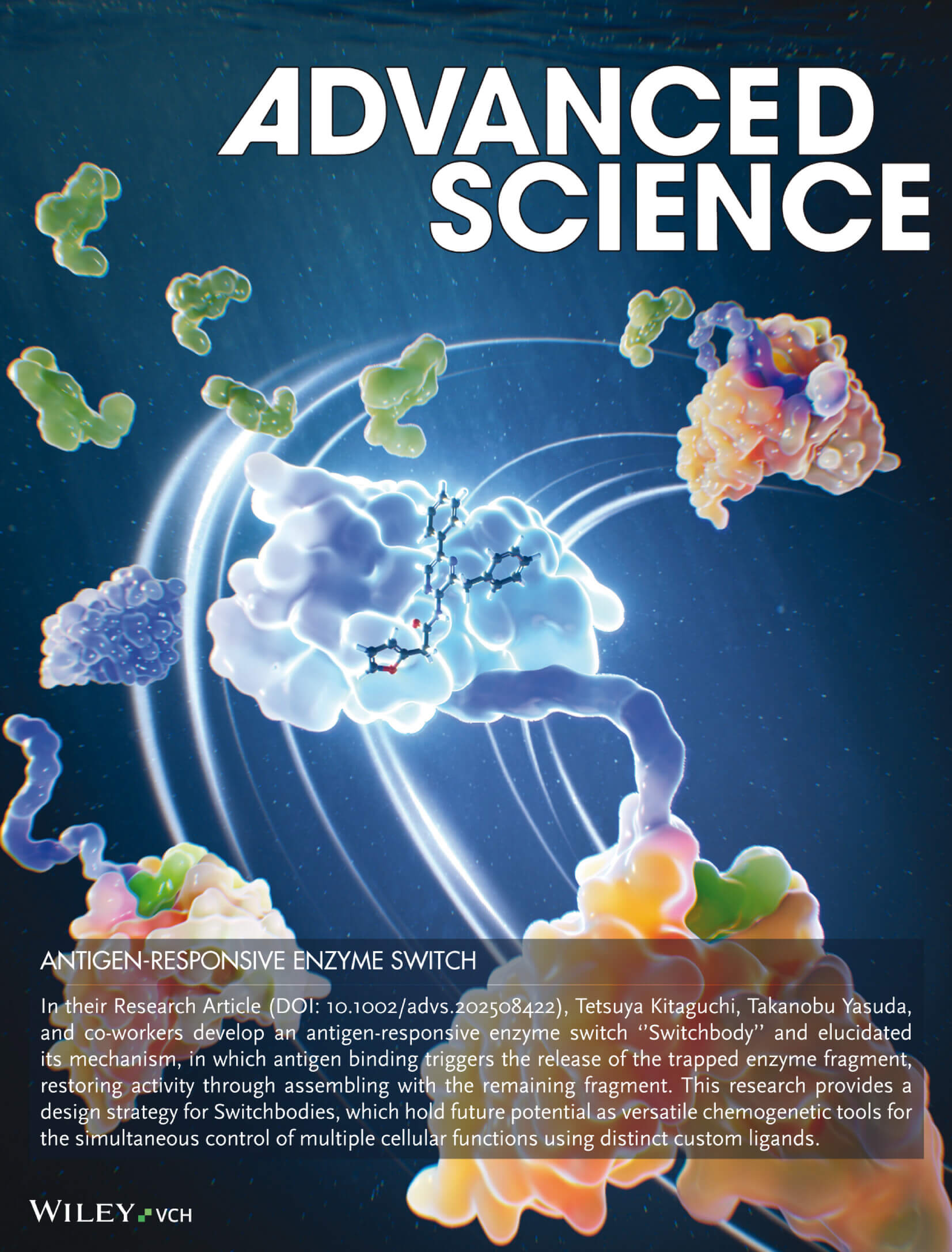 東京科学大学 Advanced Science Wiley カバーピクチャー 科学イラスト 論文表紙絵 アートアクション