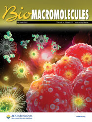 Biomacromolecules 東京科学大学 カバーピクチャー 科学イラスト 論文表紙絵 アートアクション cover picture