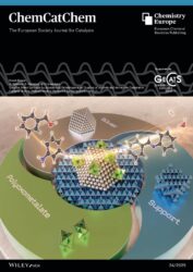 東京都立大学 ChemCatChem カバーピクチャー 科学イラスト 論文表紙絵 アートアクション cover picture