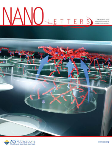 京都大学 ACS Nano Letters カバーピクチャー 科学イラスト 論文表紙絵 アートアクション cover picture