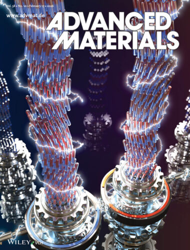 理化学研究所 Advanced Materials Wiley カバーピクチャー 科学イラスト 論文表紙絵 アートアクション cover picture