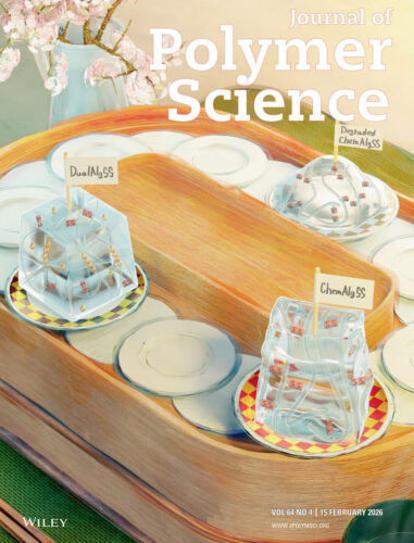 関西大学 曽川先生 Journal of Polymer Science カバーピクチャー 科学イラスト 論文表紙絵 アートアクション cover picture