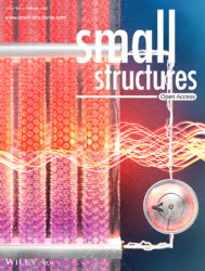 京都工芸繊維大学 Wiley Small Structures カバーピクチャー 科学イラスト 論文表紙絵 アートアクション