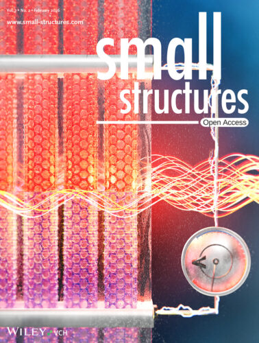 京都工芸繊維大学 Wiley Small Structures カバーピクチャー 科学イラスト 論文表紙絵 アートアクション
