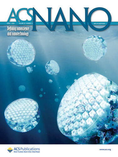 東京科学大学 ACS Nano カバーピクチャー 科学イラスト 論文表紙絵 アートアクション