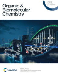 RSC Organic & Biomolecular Chemistry 中央大学 カバーピクチャー 科学イラスト 論文表紙絵 アートアクション