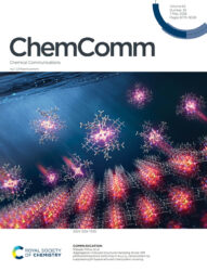 立教大学 RSC Chemical Communications カバーピクチャー 科学イラスト 論文表紙絵 アートアクション