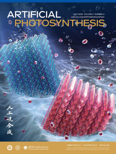 Artificial Photosynthesis 名古屋大学 カバーピクチャー 科学イラスト 論文表紙絵 アートアクション