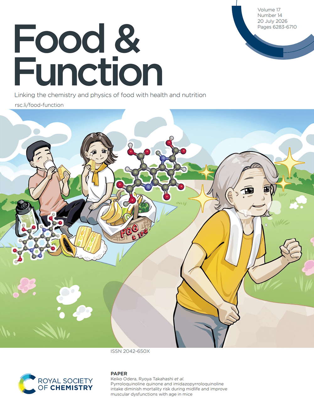 Food & Function RSC 東邦大学 三菱ガス化学 カバーピクチャー 科学イラスト 論文表紙絵 アートアクション