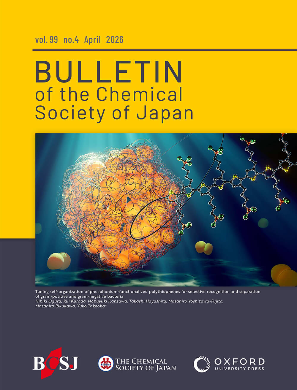 上智大学 Bulletin of the Chemical Society of Japan カバーピクチャー 科学イラスト 論文表紙絵 アートアクション