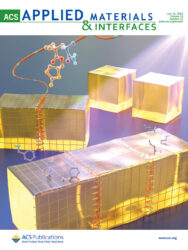 ACS カバーピクチャー 科学イラスト 論文表紙絵 アートアクション JACS 宇都宮大学 cover picture