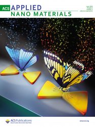 カバーピクチャー ACS Applied Nano Materials 科学イラスト 表紙絵 アートアクション cover picture