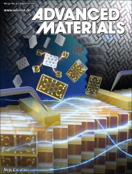 Advanced Materials カバーピクチャー 科学イラスト 論文表紙絵 アートアクション 理化学研究所 cover picture