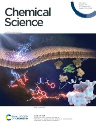 Chemical Science カバーピクチャー 科学イラスト 論文表紙絵 アートアクション 東京大学