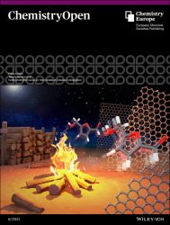 カバーピクチャー 科学イラスト 論文表紙絵 アートアクション 京都大学 cover picture