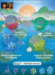 カバーピクチャー 科学イラスト 論文表紙絵 アートアクション 東京大学 内田さやか先生 cover picture