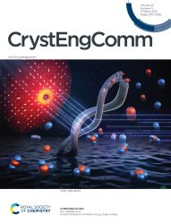 カバーピクチャー 科学イラスト 論文表紙絵 アートアクション 室蘭工業大学 cover picture